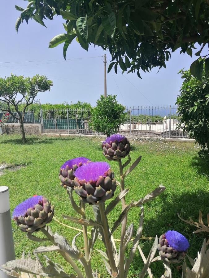 La Casa Di Pitti Hotel Anacapri  Exterior foto